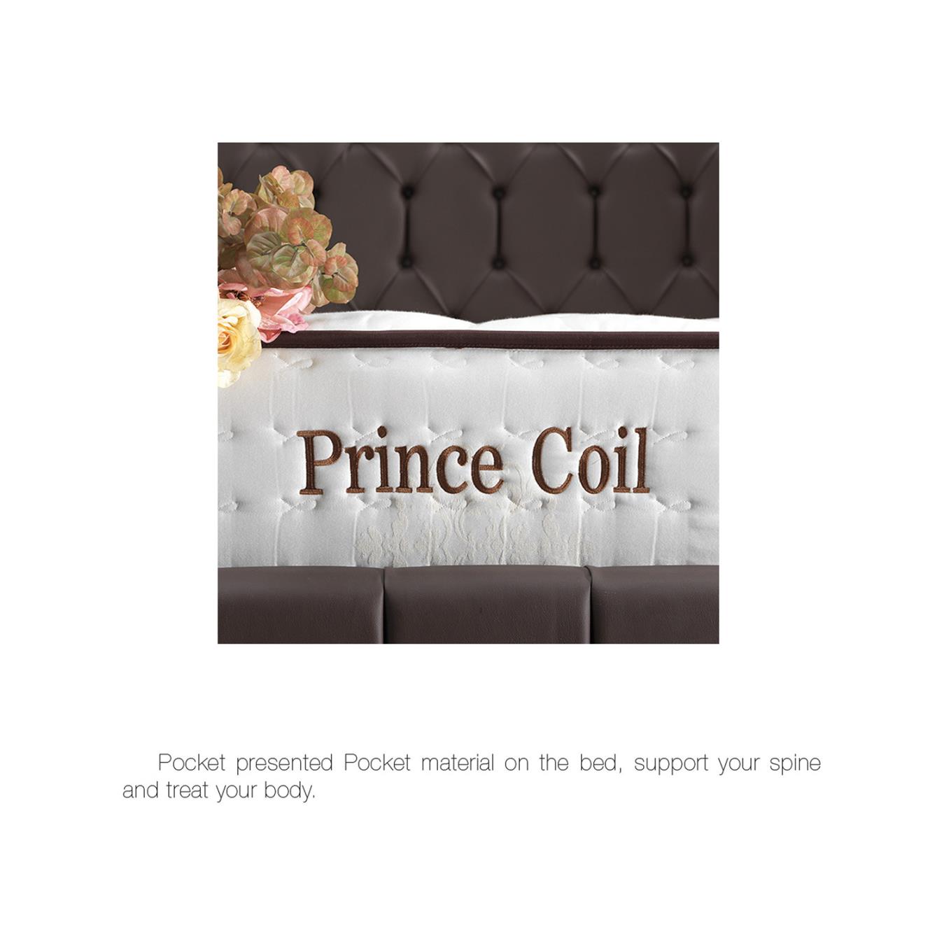 PRINCE COIL